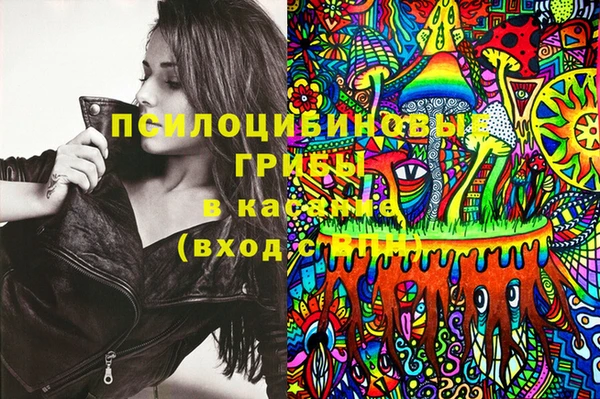 шишки Семилуки