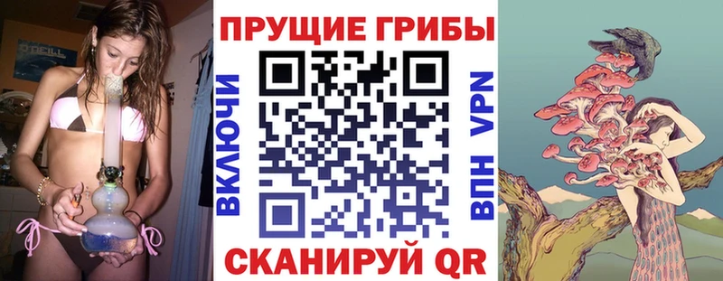 Галлюциногенные грибы ЛСД  дарнет шоп  Спас-Клепики 